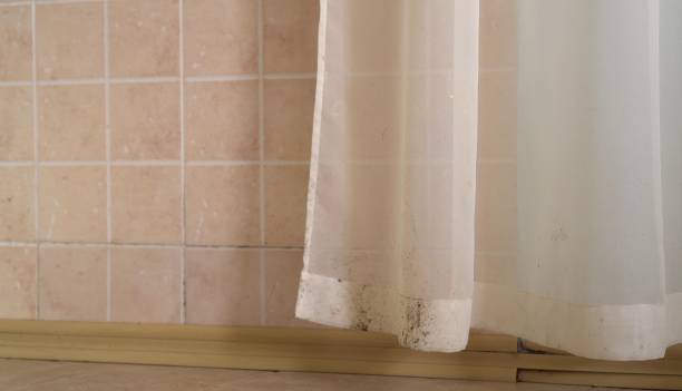 Best Mold Documentation for Insurance Claims  in Duenweg, MO