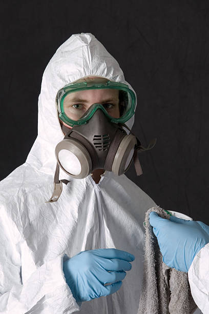 Best Black Mold Removal  in Duenweg, MO